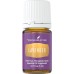 Young Living Lavender Essential Oil Young Living Lavender Essential Oil